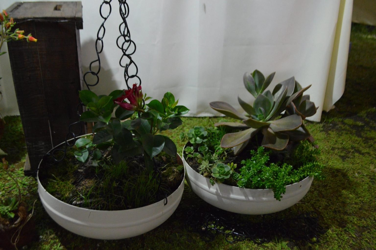 48397589_10217183296071562_5245131829878456320_n